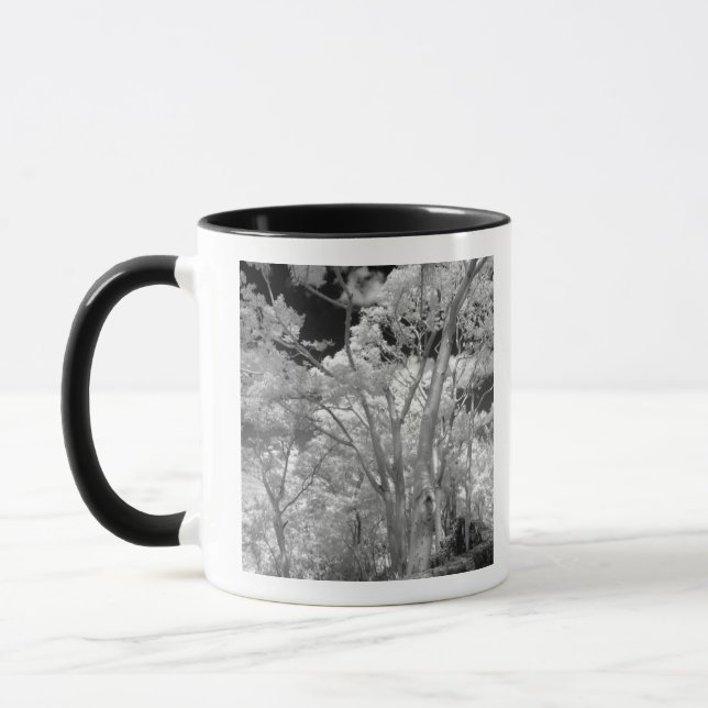 Taza Infrarrojo de árboles edificios y senderos en Las  (Izquierda)