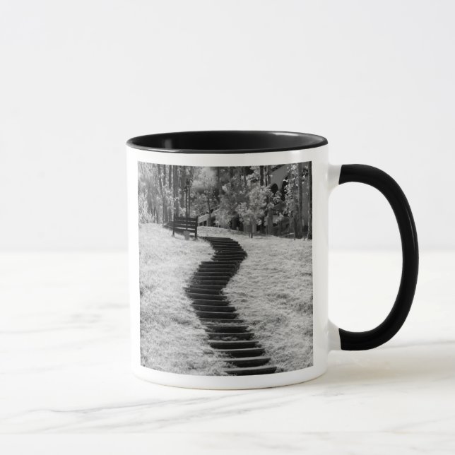 Taza Infrarrojo de árboles edificios y senderos en Las (Derecha)