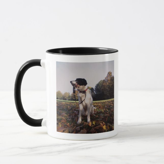 Taza Inglaterra, St Albans (Izquierda)