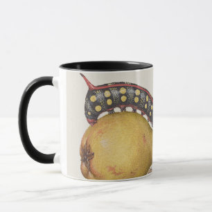 Taza Insectos de jardín, mosca, oruga, pera, ciempiés