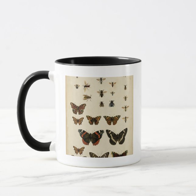 Taza Insectos de jardín por Vision Studio (Izquierda)