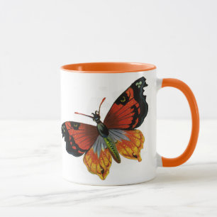Taza Insectos o bichos antiguos, hermosa mariposa