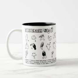 Taza interesante de los Manatees