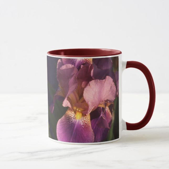 Taza Iris holandés barbudo del marrón y del rosa (Derecha)