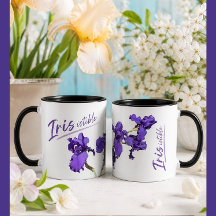 Taza Iris Irresistible