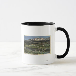 Taza Iris salvaje que crece el mamut cercano del Mt.