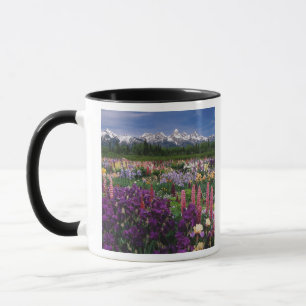Taza Iris y Lupine Garden y Teton Range,