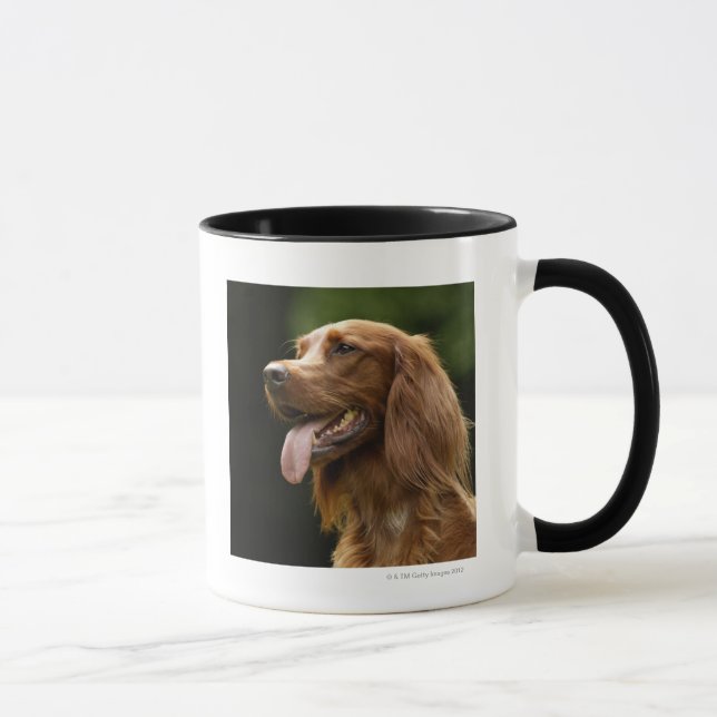 Taza Irish Setter 2 (Derecha)