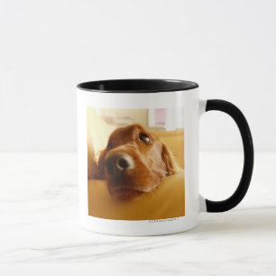 Taza Irish Setter en el sofá