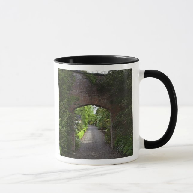 Taza Irlanda, el castillo de Dromoland muy verde (Derecha)