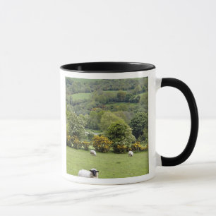 Taza Irlanda Occidental, Península de Dingle, amplia