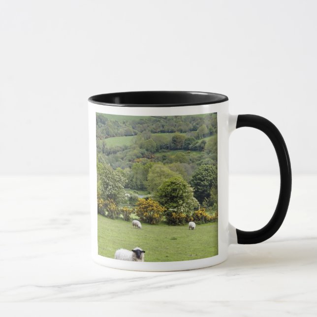 Taza Irlanda Occidental, Península de Dingle, amplia (Derecha)