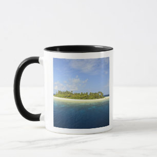 Taza Isla Baughagello, atolón South Huvadhoo, 3