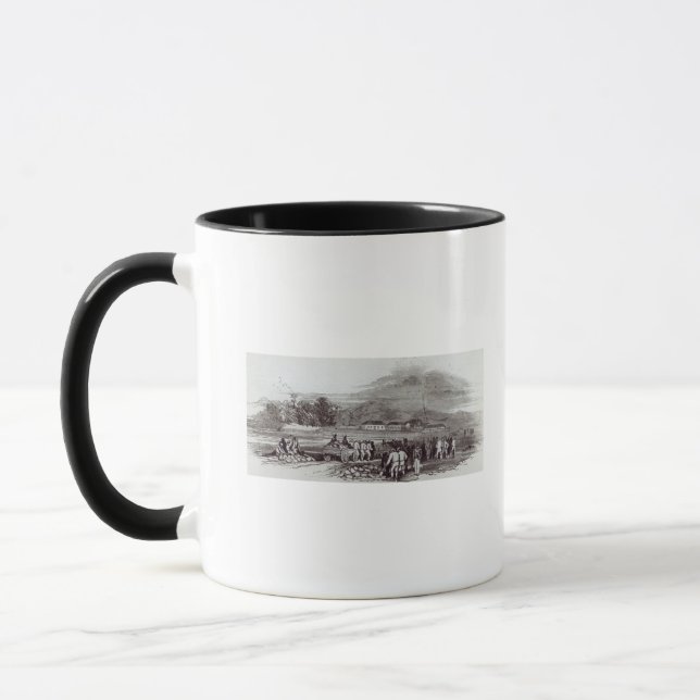 Taza Isla de Norfolk (Izquierda)
