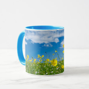 Taza isla de South Uist Escocia