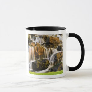 Taza Isla Grande, Hawái. Corriente de agua en cascada,