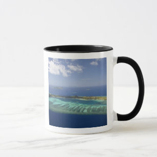 Taza Isla Mana y arrecife de coral, Islas Mamanuca