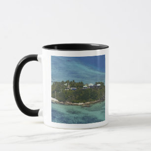 Taza Isla Wadigi, Islas Mamanuca, Fiji