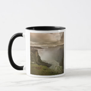 Taza Islandia, Parque Nacional Jokulsargljufur.