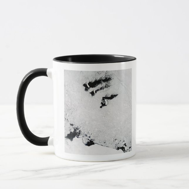 Taza Islas Balleny, cerca de la Antártida (Izquierda)
