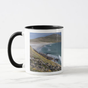 Taza Islas Malvinas (Falkland West), Saunders