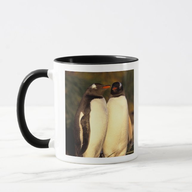 Taza Islas Malvinas. Pingüinos de Gentoo. (Pyroscelis (Izquierda)