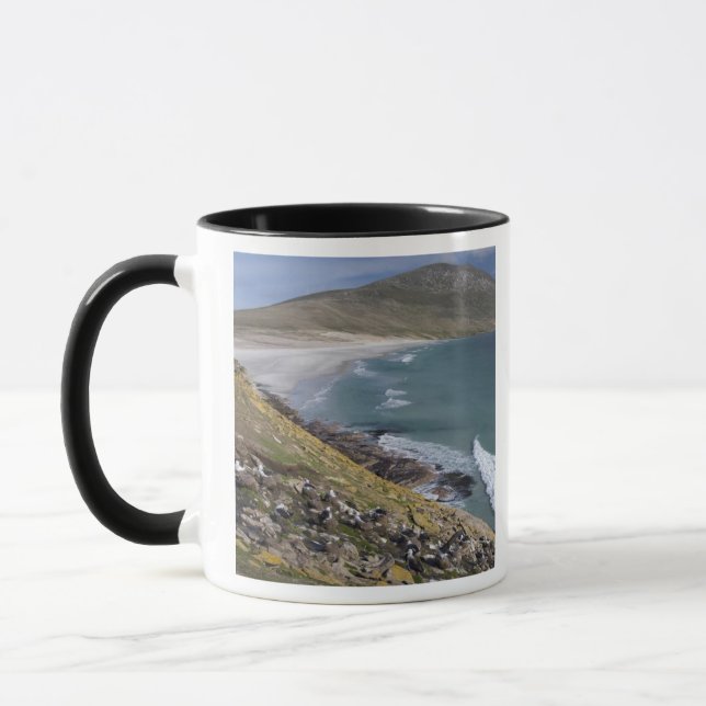 Taza Islas Malvinas, West Falkland, Saunders (Izquierda)