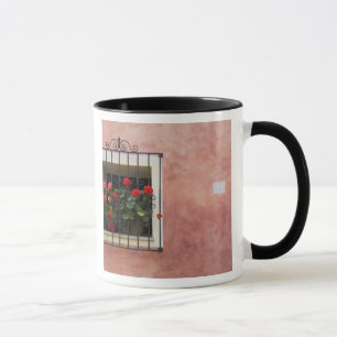 Taza Italia, Asciano, cajas de ventana con primavera fr