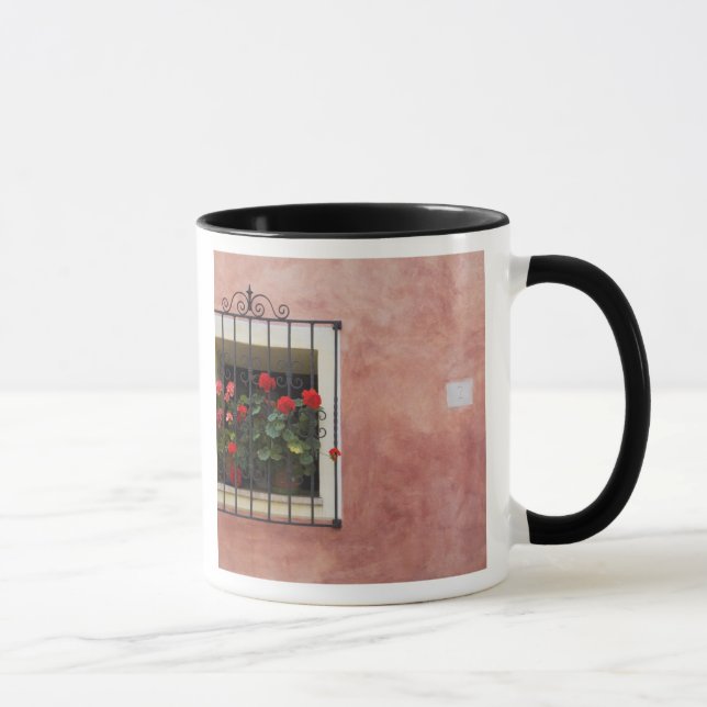 Taza Italia, Asciano, cajas de ventana con primavera fr (Derecha)