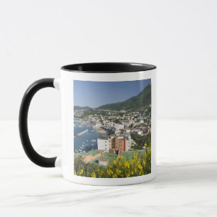Taza ITALIA, Campania, (Bahía de Nápoles), ISCHIA, LACC