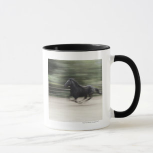 Taza Italia, Latium, galope del caballo de Maremma
