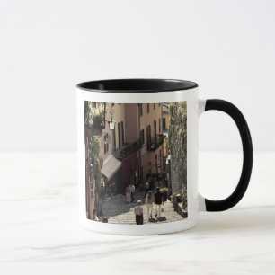 Taza Italia, provincia de Como, Bellagio. Salita 2