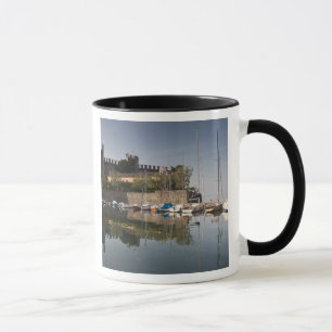 Taza Italia, provincia de Verona, Torri del Benaco. Il