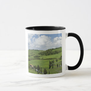Taza Italia, Toscana. La Foce. Una carretera curva sube