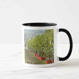 Taza Italia, Toscana, Montalcino. Contenedores de cosec
