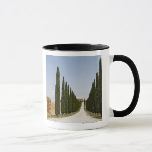 Taza Italia. Toscana. Val D'Orcia (valle de Orcia) 3