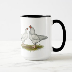 Taza Ixworth Chickens