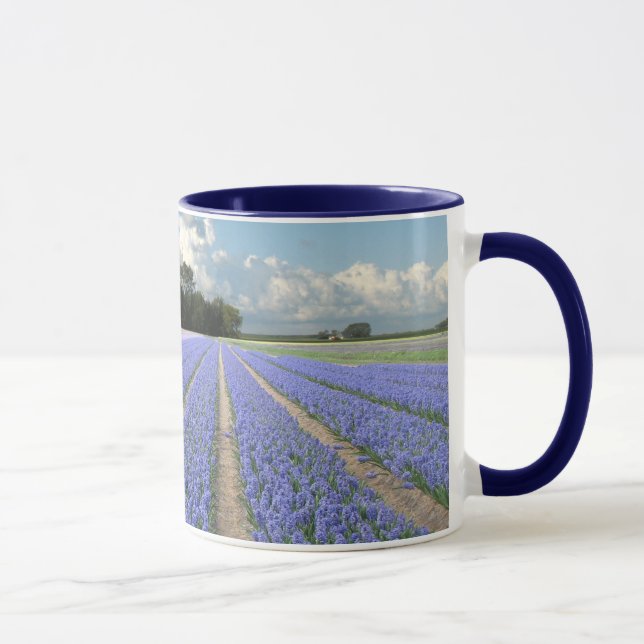 Taza Jacintos azules en un campo Holanda (Derecha)