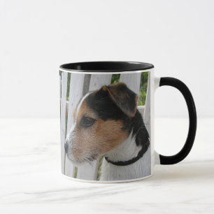 Taza Jack Russell Terrier