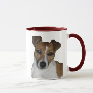 Taza Jack Russell Terrier