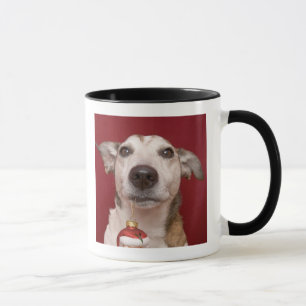 Taza Jack Russell Terrier que sostiene el ornamento del