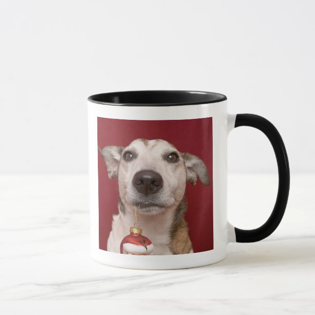 Taza Jack Russell Terrier que sostiene el ornamento del (Derecha)