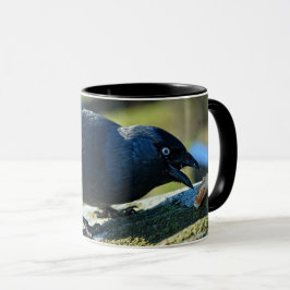 Taza Jackdaw
