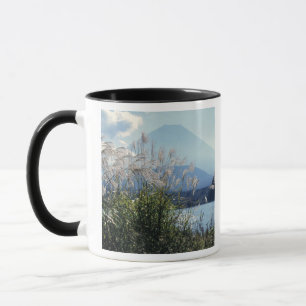 Taza Japón, Honshu, Pref. Yamanashi, Fuji-Hakone-Izu