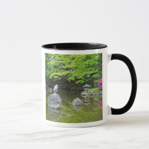 Taza Japón, Kyoto. Garza en hojas verdes frescas
