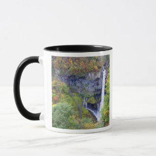 Taza Japón, Nikko. Cascada Kegon de Nikko, un patrimoni