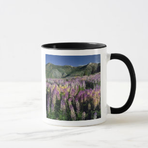 Taza JARBIDGE WILDERNESS, NEVADA. EE. UU. Lupino de esp