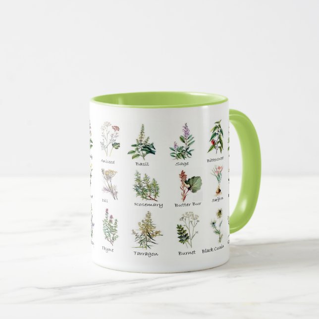 Taza Jardín de cocina Herb Mugs (Anverso derecho)