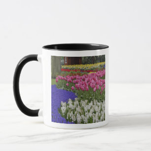 Taza Jardín de jacintos de uva, jacintos y tulipanes,