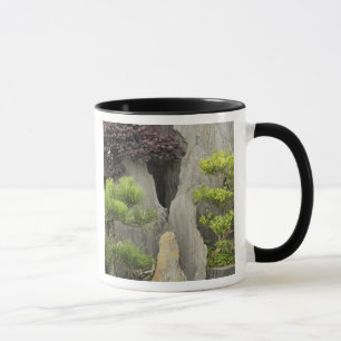 Taza Jardín de la familia Bao, Huangshan, China. 2